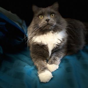 Meet your Posher, Mary